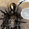 baixar Miles & Mister Negative Create Anti Venom Symbiote Scene (2023) Spider-Man 2 PS5 4K 60FPS mp3