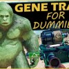 baixar ARK For Dummies - Gene Traits mp3