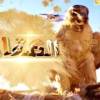 baixar برنامج : الصقار ـ ح 17 mp3