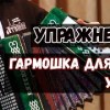 baixar Гармошка для всех. Урок 7 - Упражнения для соединения двух рук mp3