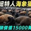 baixar 牛奶18美元、披薩貴過汽油，北極小鎮為何還靠獵海象活著？一頭15000美元海象背後的極地生存邏輯【Max解構世界】 mp3