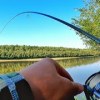 baixar ЖОР ОКУНЯ З КОЖНОГО ЗАКИДУ! Риболовля на окуня на Десні 2023 Джиг, Тейл-Спінер чи Відвідний Повідець mp3