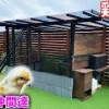 baixar 【DIY】ついに鶏小屋が完成！＆新しい仲間を紹介！！ mp3