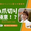 baixar #020 | 【猫の爪切り】猫の爪切り、実は“爪切り選び”で難易度が変わる！ mp3