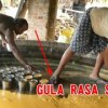 baixar THE WORLD'S DIRTIEST FOOD IS IN INDIA_But why is it so popular? mp3