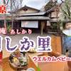baixar 紅梅白梅見て、梅ソフトにお団子／ウェルカムベビー🩷の風情ある旅庵で懐石料理を堪能、露天風呂に浸かり至福の時を過ごす mp3