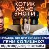 baixar Генетично хворі діти народжуються у здорових батьків. Як цього уникнути? | КОТИК ХОЧЕ ЗНАТИ #08 mp3