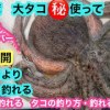baixar Octopus fishing secret revealed: 42 octopuses caught in Tokyo Bay, with over 30 over a kilogram. ... mp3