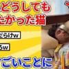 baixar 【2ch動物スレ】夜中に腹減りすぎた猫のせいで朝、すごいことになってたｗｗｗｗｗ mp3