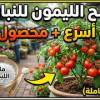 baixar ملح الليمون للنبات = نمو أسرع + محصول أكبر (الطريقة كاملة) mp3