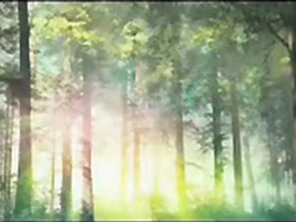 The Spiderwick Chronicles - Dvd Trailer - Video Dailymotion 720_X_960_jpg