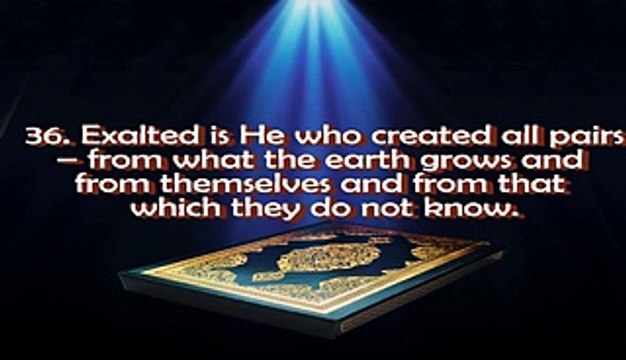 Surah Ar Rahman Al Waqiah Al Mulk Al Kahfi Ya Sin Ismail Annuri 