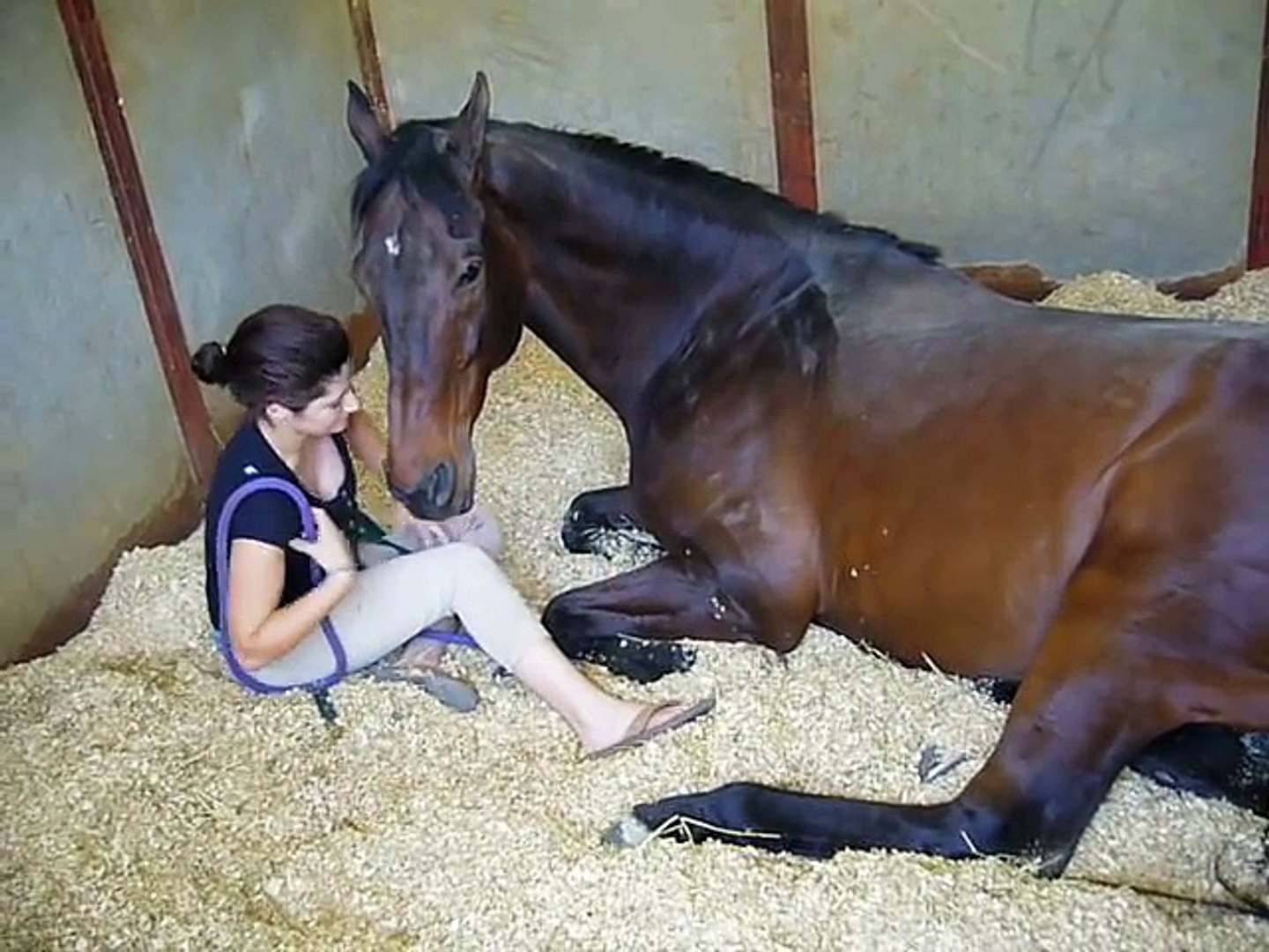 Girl and Horse - Enjoy--Hd