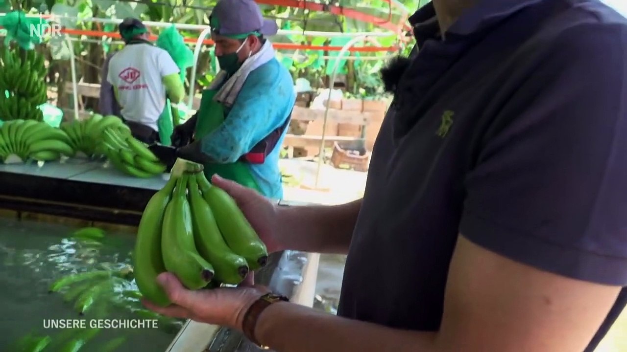 Die ursachen der schuppenbildung reichen von einer irritation wegen . Unsere Geschichte Als die Banane in den Norden kam - video