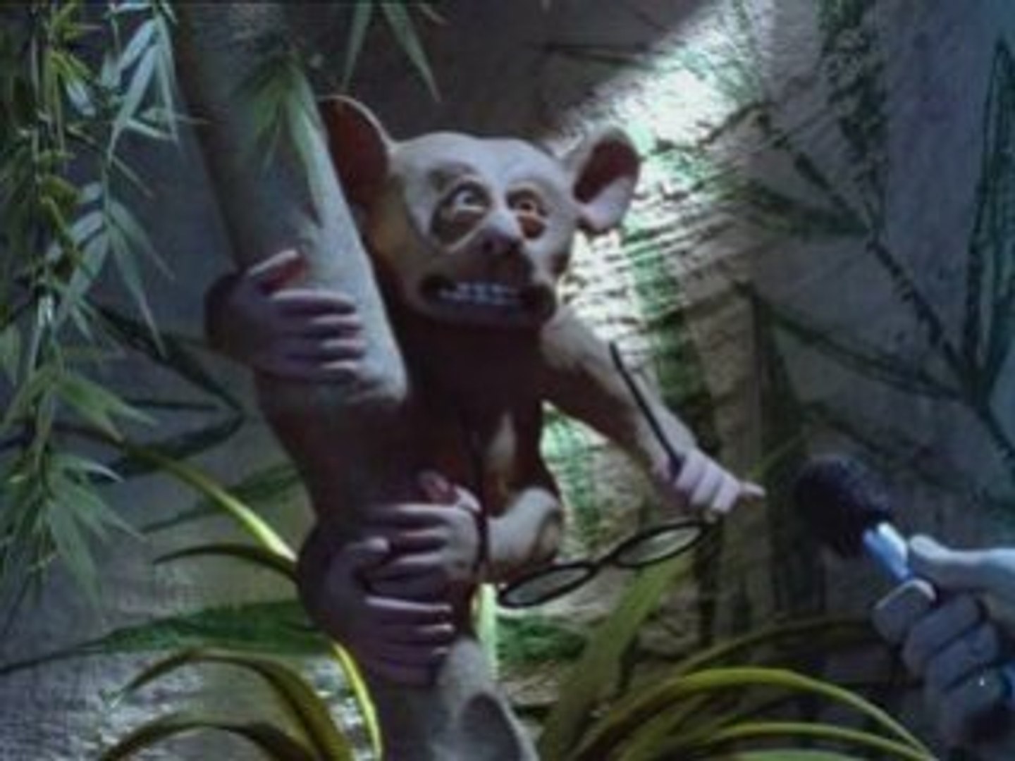 A humourous and thought provoking view of what animals in zoos might be thinking about their . Creature Comforts Aardman Nick Park 1989 Video Dailymotion
