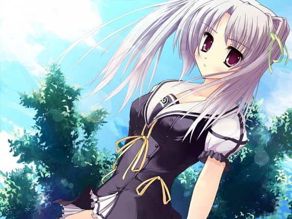 Echo Zerochan Anime Image Board - Premium Colorful Image Gallery - Mobile