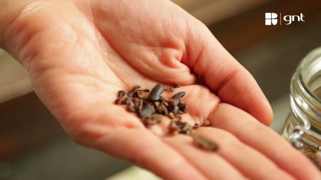 Nibs de Cacau: O Toque Mágico que Transforma Suas Receitas