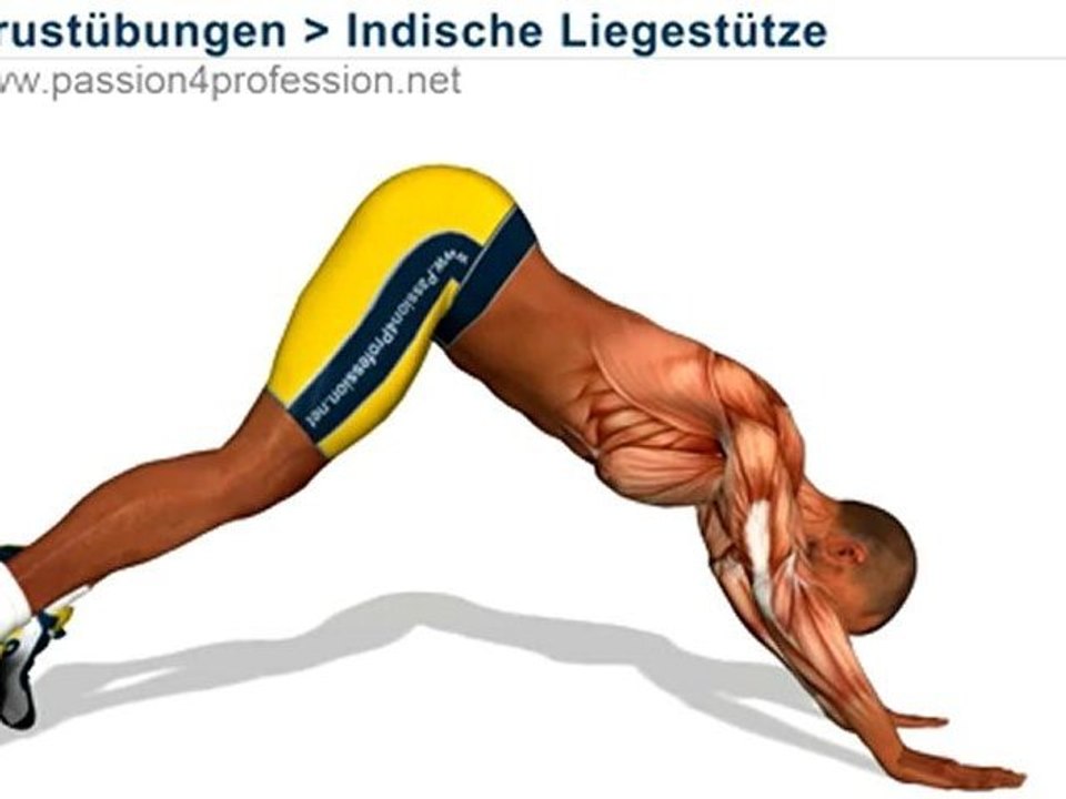 Sehr fortgeschrittene übung, die schultermuskulatur, . Indische LiegestÃ¼tze zu trainieren Trizeps Schultern und