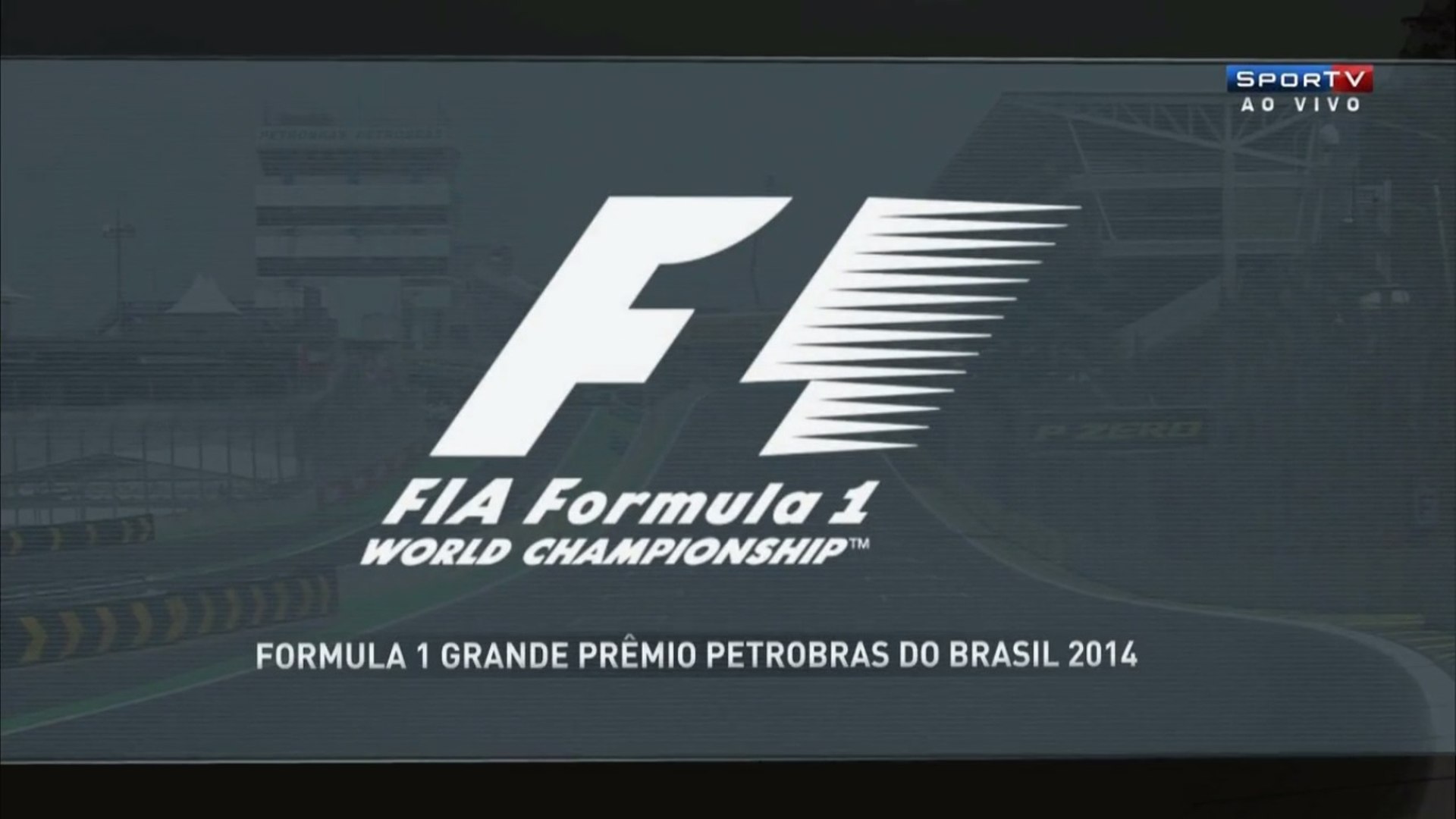 F1 Gp Brasil 2014 Grande Premio F1 Grand Prix F1