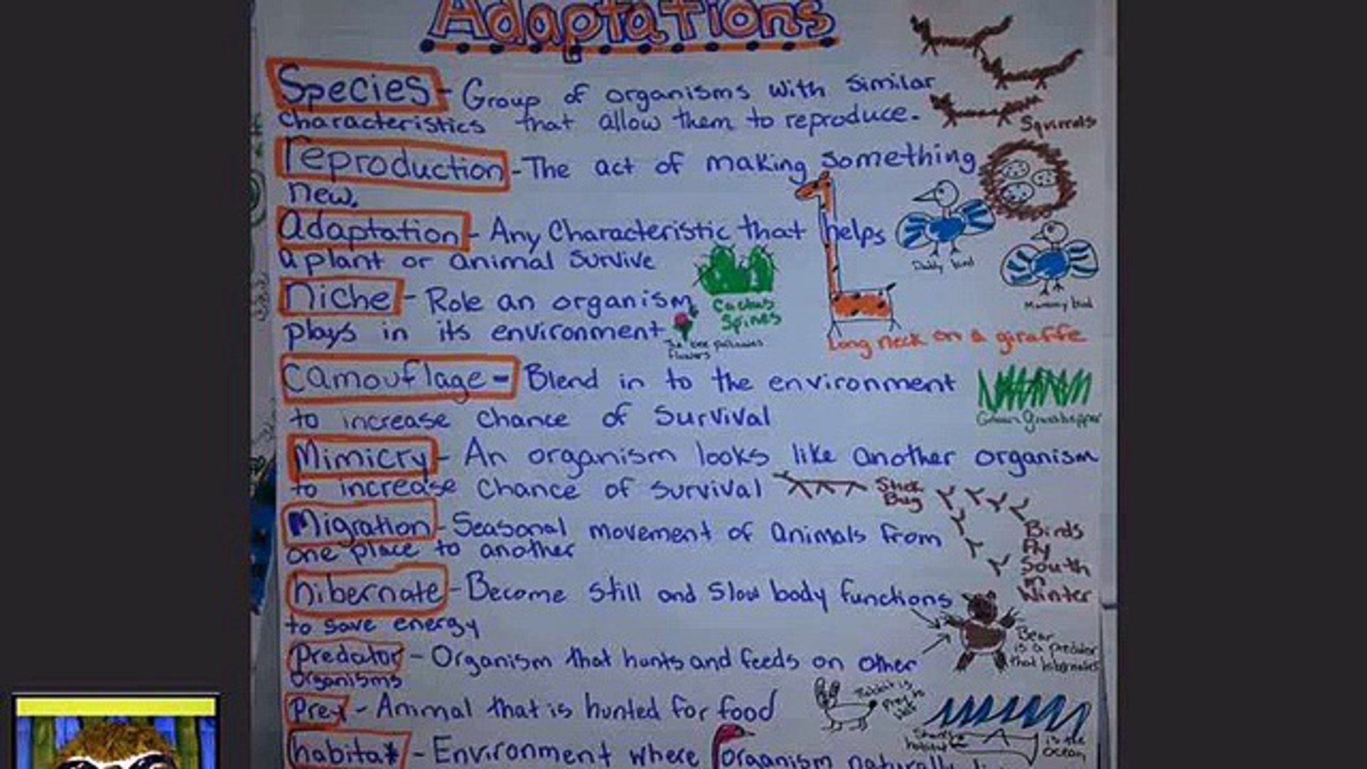 Lesson for kids, adaptation online quiz, adaptation printable worksheet pdf, adaptation lesson. Animal Adaptations Worksheets 5th Grade Video Dailymotion