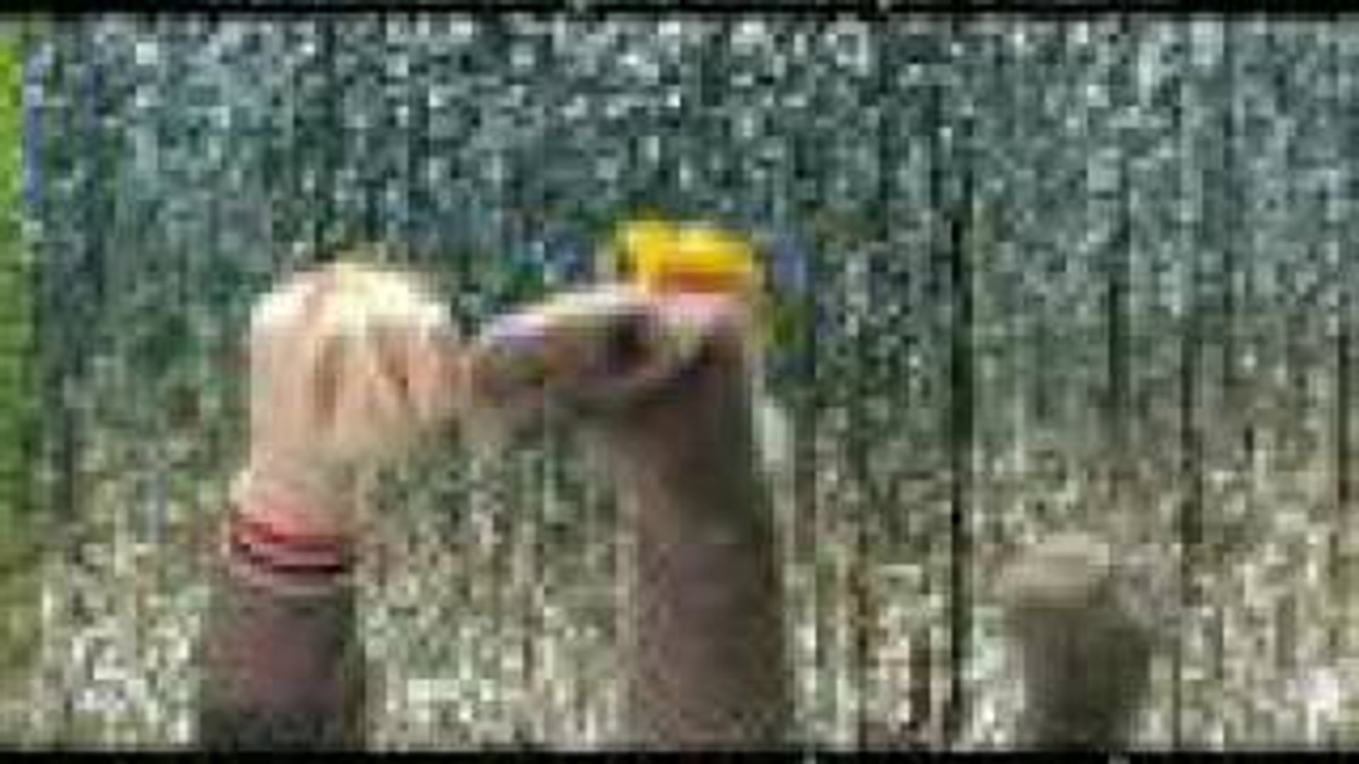 Happy Birthday Song - Geburtstagslied Funny Lustig - Dailymotion Video 1080_x_1920_jpg