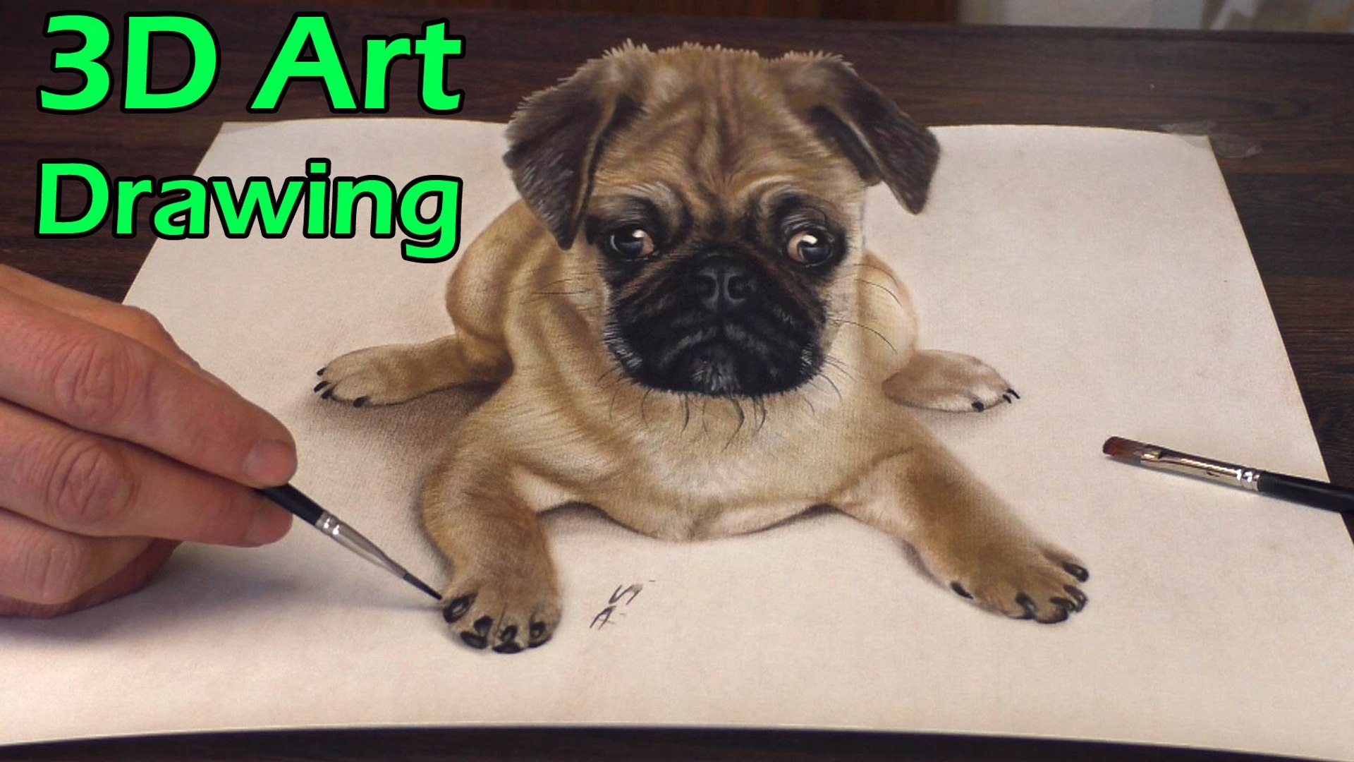 Check out our pug pencil drawing selection for the very best in unique or custom, handmade pieces from our pencil shops. 3d Drawing Of Sweet Pug Dog Trick Art Speed Painting Video Dailymotion
