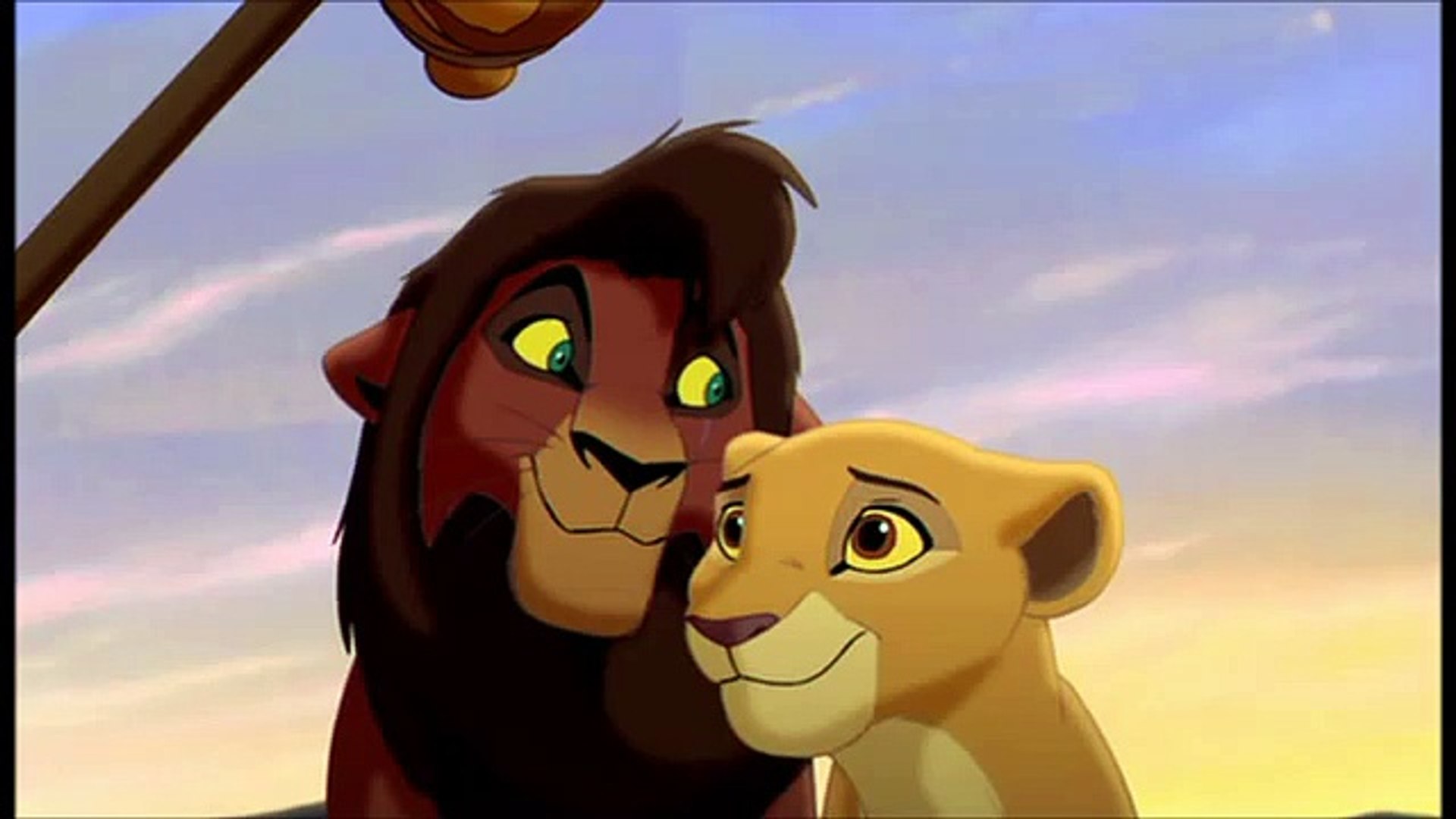 Lion King Tree Photo Fun Contest Week 29 Sunset Photography Steemit