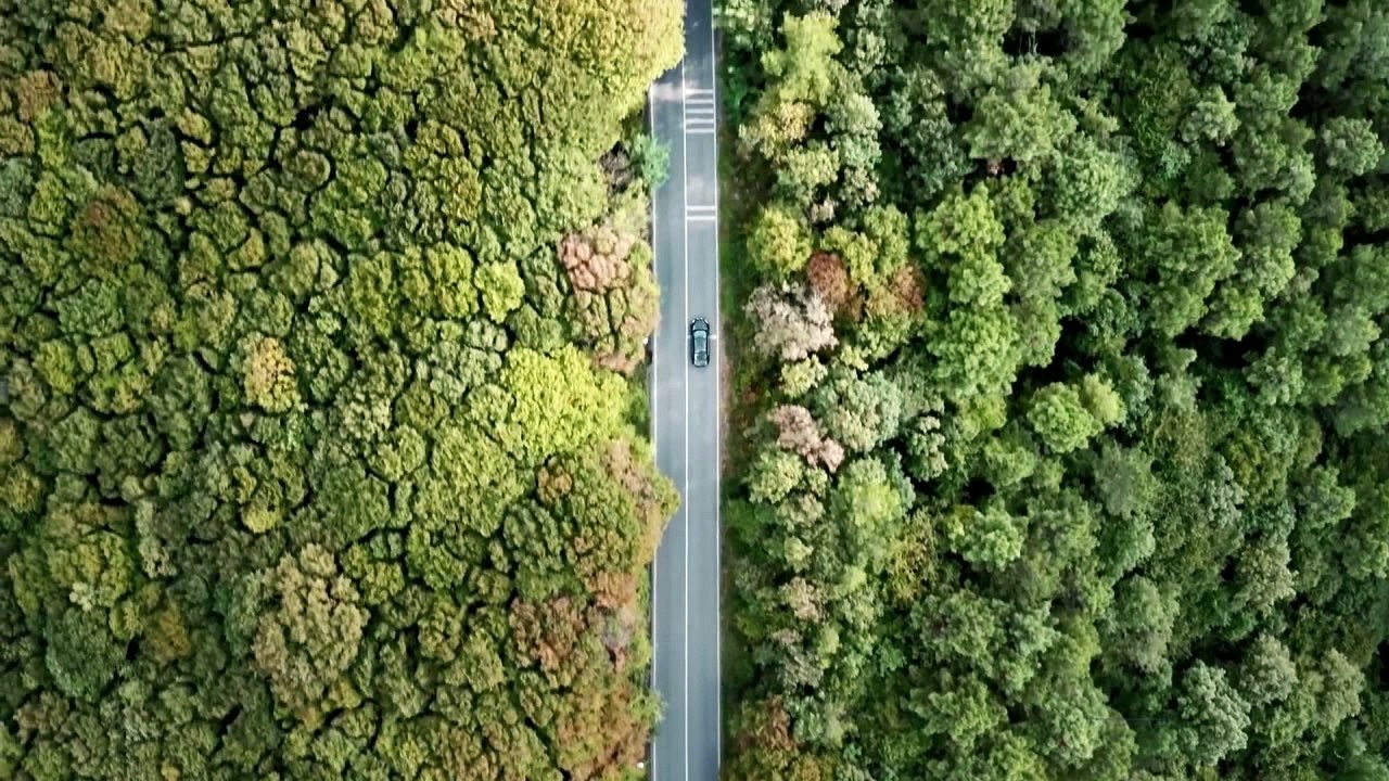 Haluk Bilginer Hangi Dizilerde Oynadi Arsivleri Konrabat