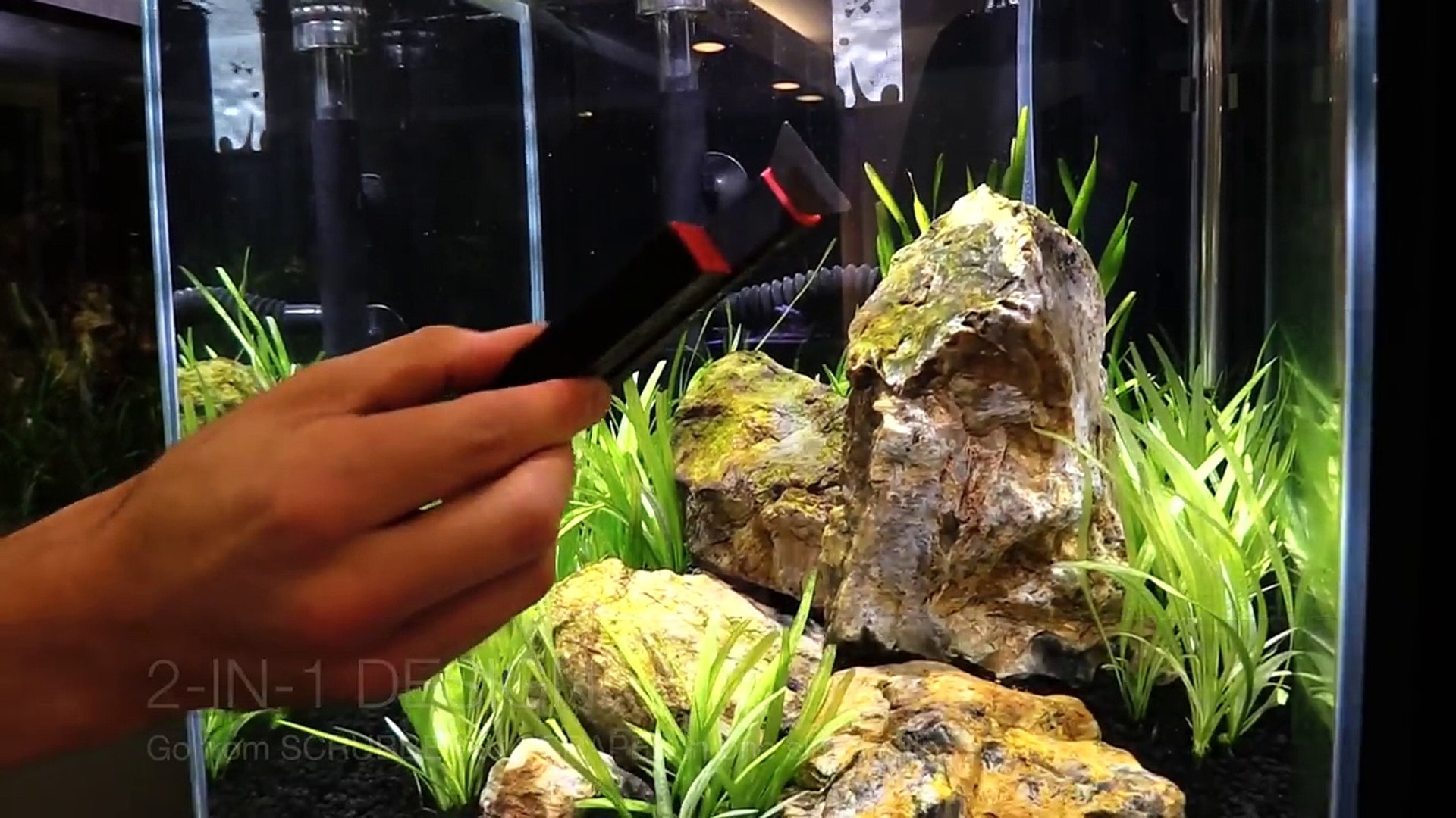 Fluval Razor 2 In 1 Algae Mag Scraper Small Ca Pet Supplies I tossed mine in the tank expecting it to float it.