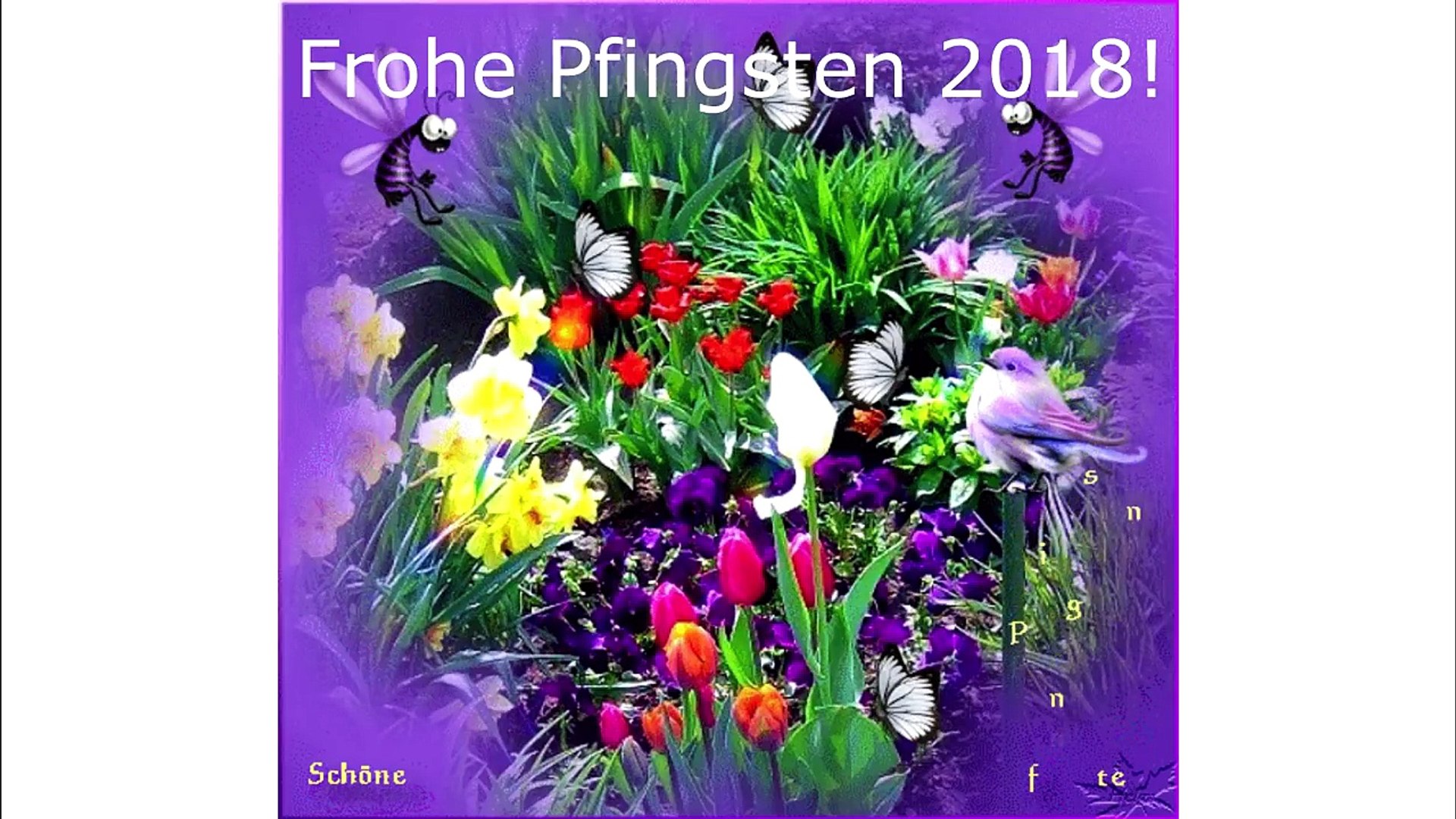 Pfingstgrüße 2021 für dich zum weitersenden an familie und freundehier kostenlos abonnieren: . Pfingstgrusse Schone Pfingsten 2018 Frohe Pfingsten Whatsapp Grusse Video Dailymotion