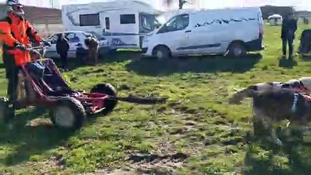 Jean lassalle, candidat à la présidentielle en quête de parrainages a relayé vendredi sur son compte facebook une vidéo compilant quelques . Les Chiens De Traineaux Ont Profite Du Sauternais Ce Week End Video Dailymotion