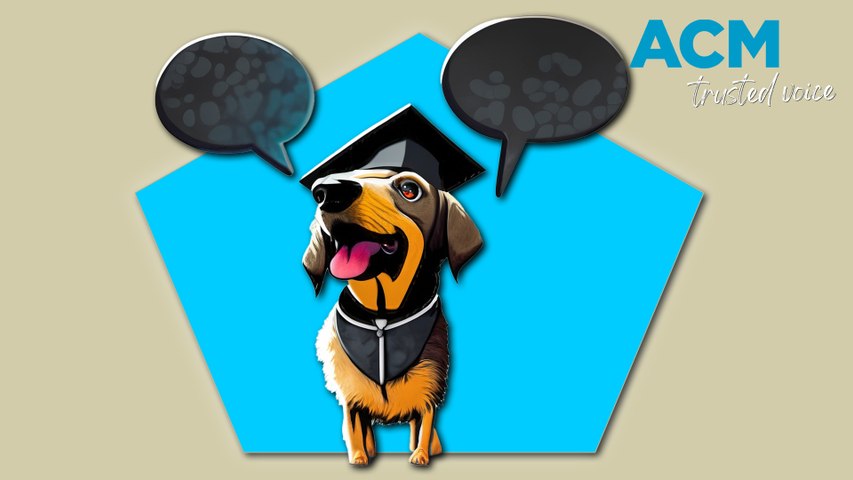 'google translate for animals': scientists unlock secrets to zoological language