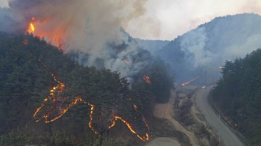 緊急快訊！韓國多地進入災難狀態！多名消防員失蹤！死亡人數再增加...