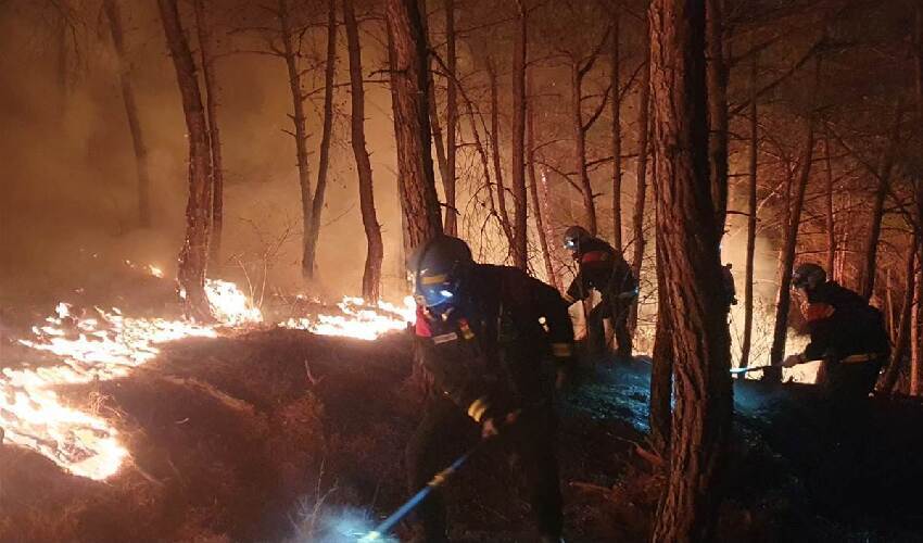 緊急快訊！韓國多地進入災難狀態！多名消防員失蹤！死亡人數再增加...