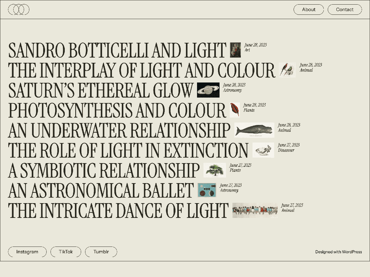 Luminance is a bold blogging theme with opinionated typography and unique aesthetics that sets your blog apart from the crowd.