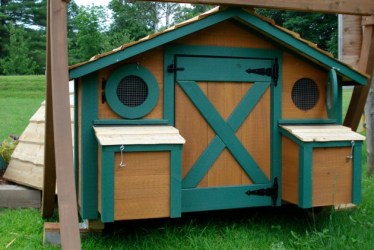 chicken hobbit hole coop unique them