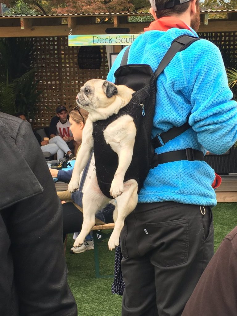 Linea U2 Horarios Mapas Y Paradas Zoologischer Garten Bhf