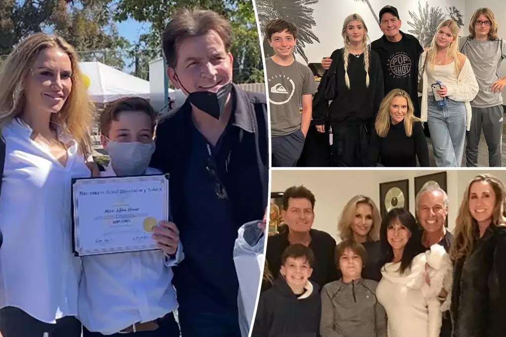 The Truth Behind Brooke Mueller and Charlie Sheen’s Co-Parenting Situation