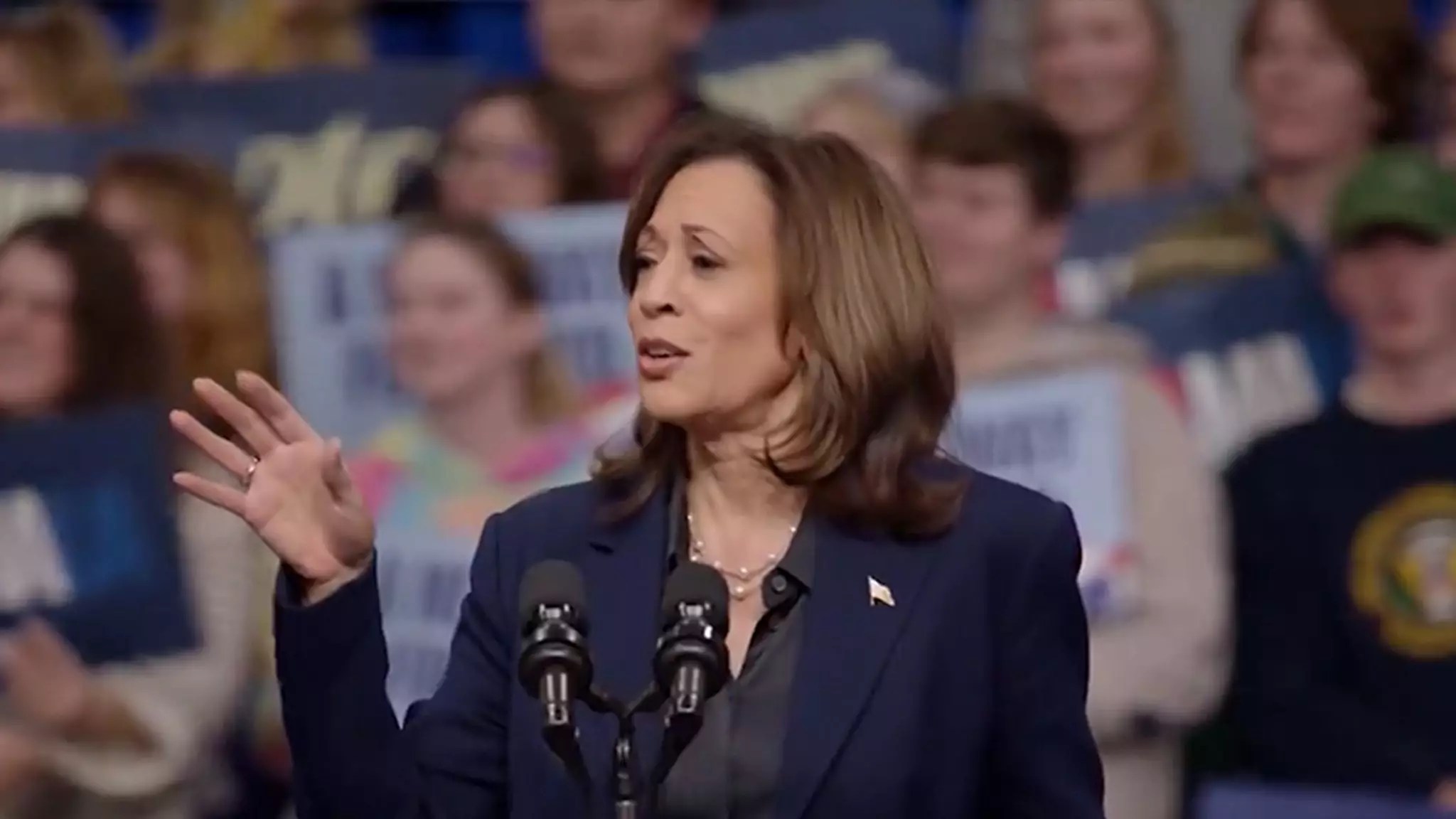 Humor and Politics: Kamala Harris’s Rally Response to Hecklers