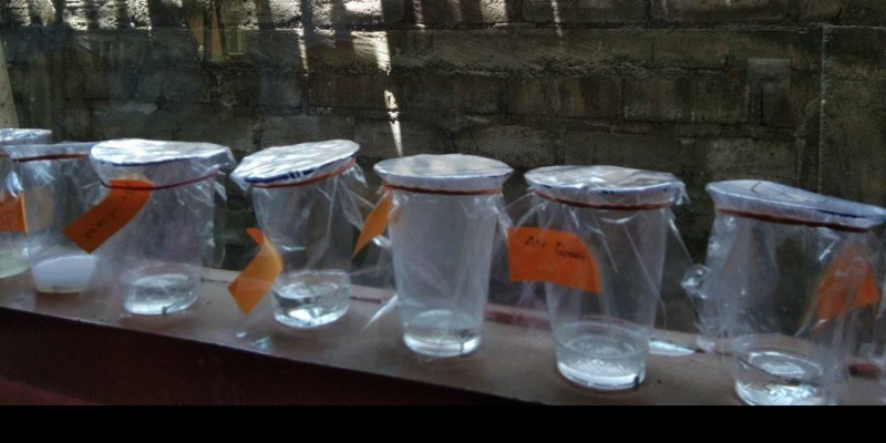 Pada percobaan yang dilakukan, mendapati bahwa, paku akan berkarat pada tabung/gelas . Guru Berbagi Green Chemistry Praktikum Asyik Dan Menarik Dari Rumah