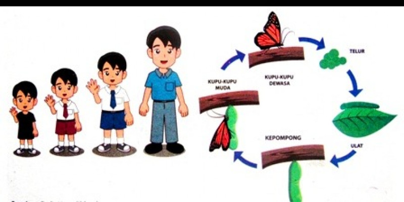 Saya menyampaikan kepada anak, ada 5 ciri mahluk hidup: Sebutkan Ciri Ciri Mahluk Hidup Jawaban Belajar Dari Rumah Tvri Kelas 1 3 Sd Jumat 24 7 Halaman 2 Wartakotalive Com