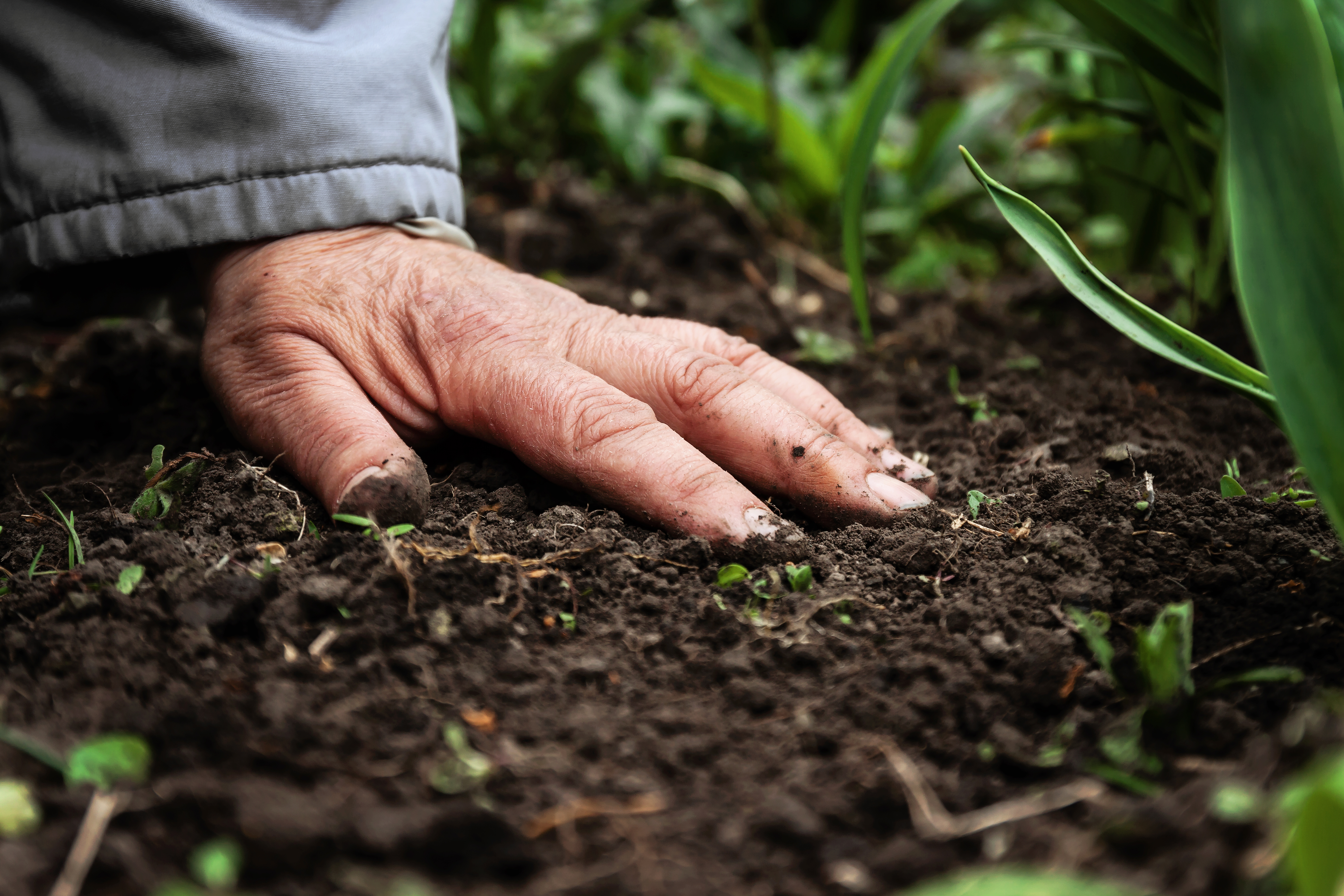 picture Does Fertilizer Go Bad https homeguides sfgate com liquid fertilizer bad 84054 html