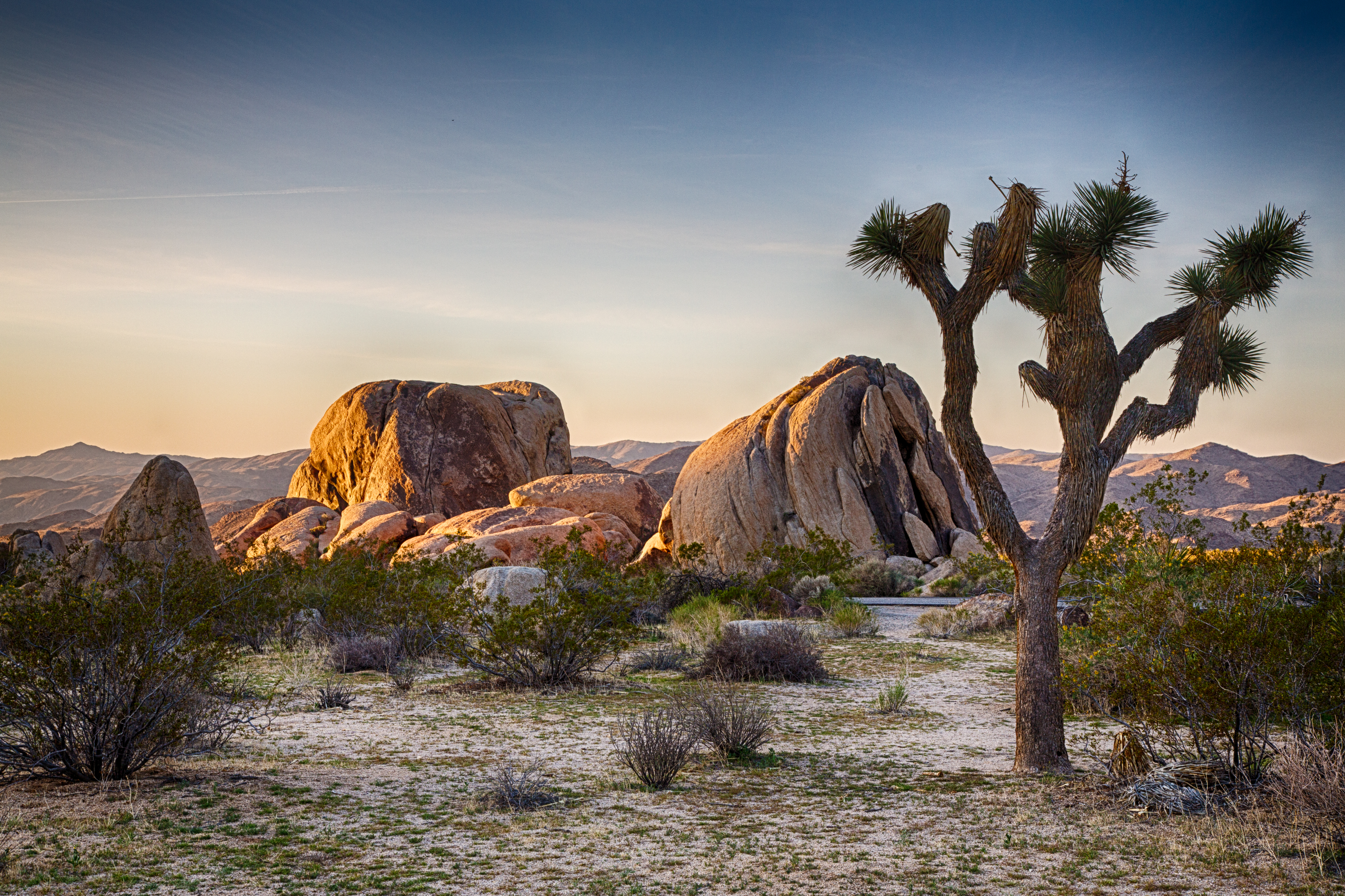 Operating Hours Seasons Joshua Tree National Park U S National Park Service
