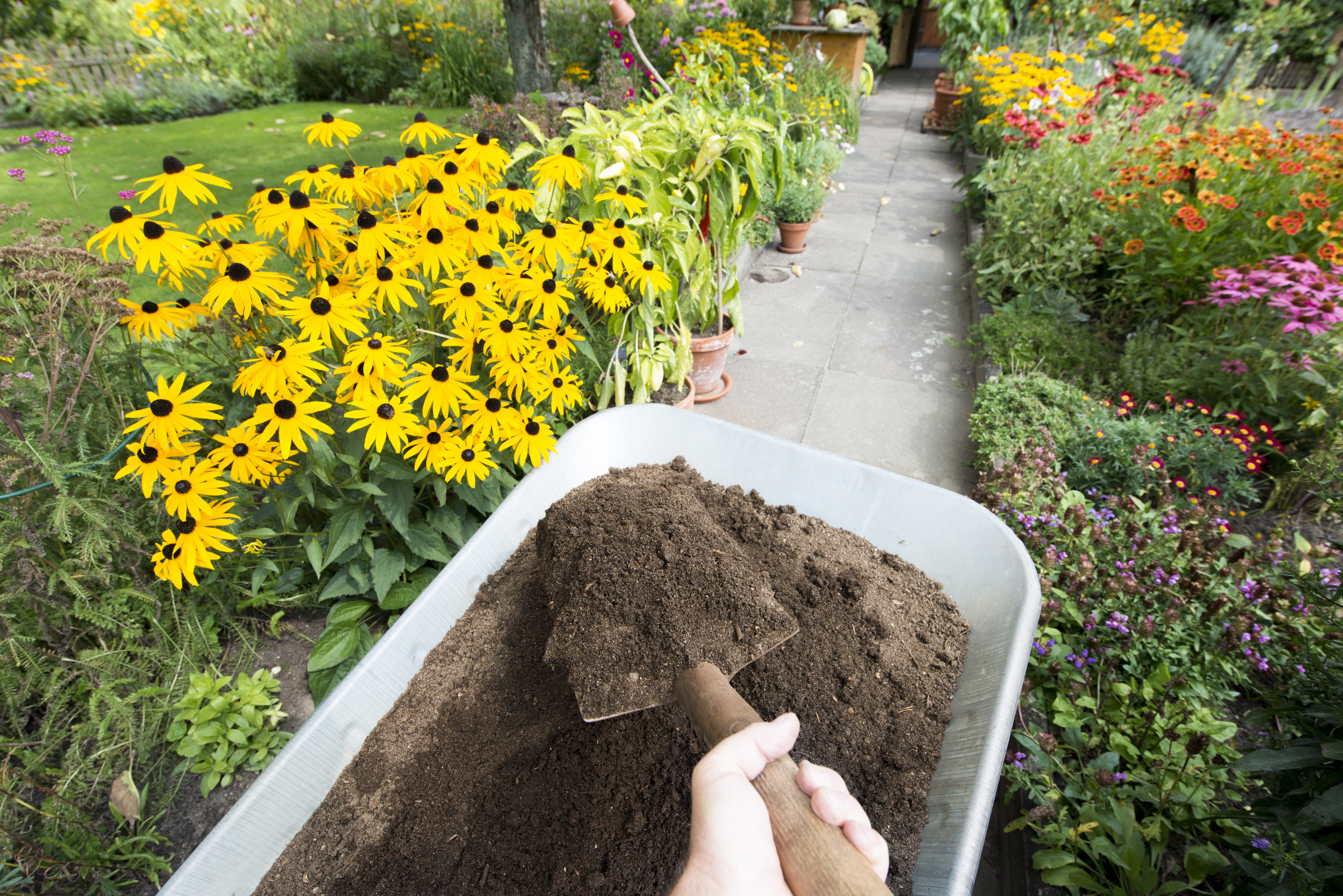 pics Does Fertilizer Go Bad https homeguides sfgate com liquid fertilizer bad 84054 html
