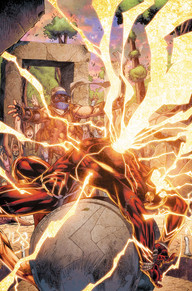 Flash #40 (Brett Booth & Norm Rapmund Regular Cover