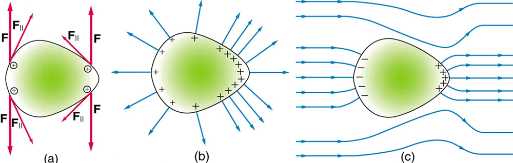 Conductors And Electric Fields In Static Equilibrium Physics Conductors And Electric Fields In Static Equilibrium Physics