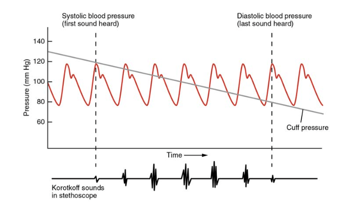 Applied Sciences Free Full Text A Review Of Algan Based Deep Ultraviolet Light Emitting Diodes On Sapphire Html 20 C Flash Point.