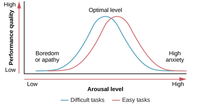 Theories about motivation