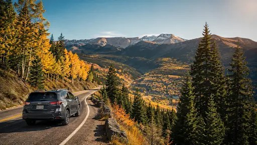 Fall Trips