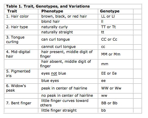 Five Genetic Traits - Sunset Images - Artistic Ultra HD Collection